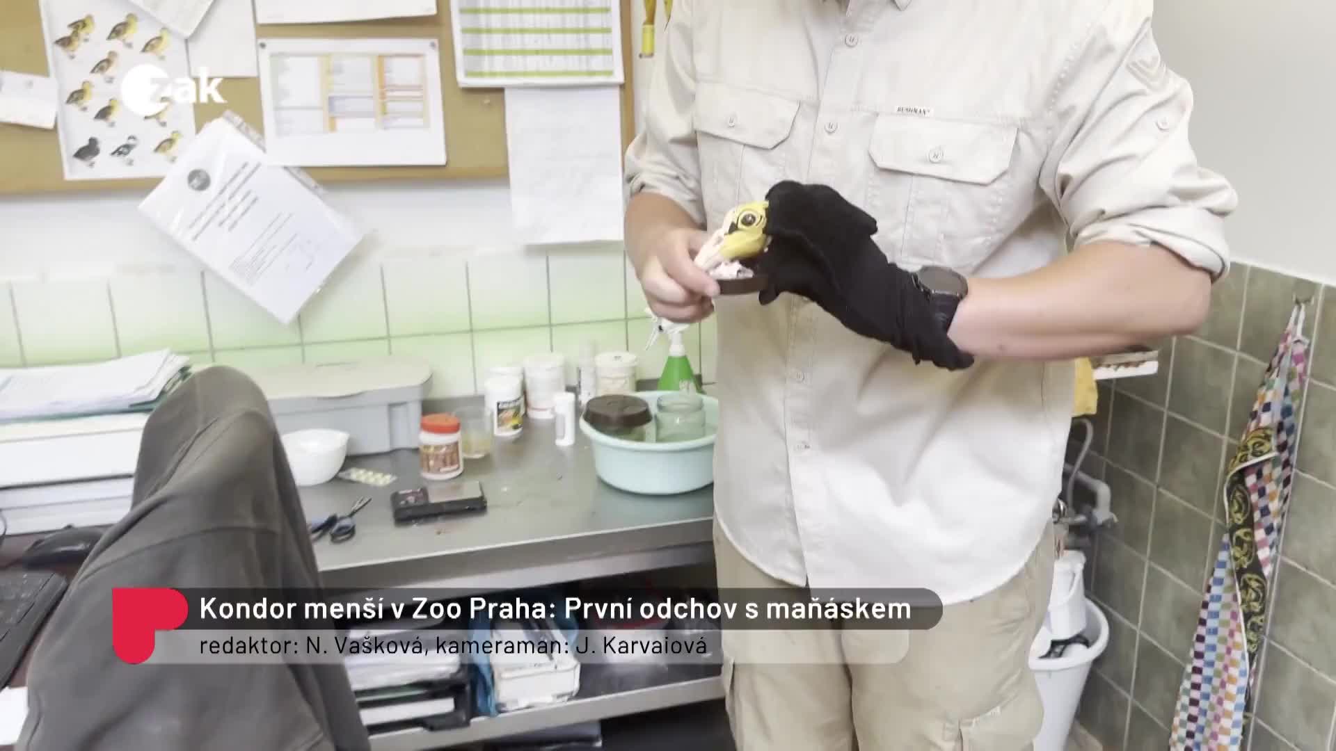 Dobré zprávy z regionů