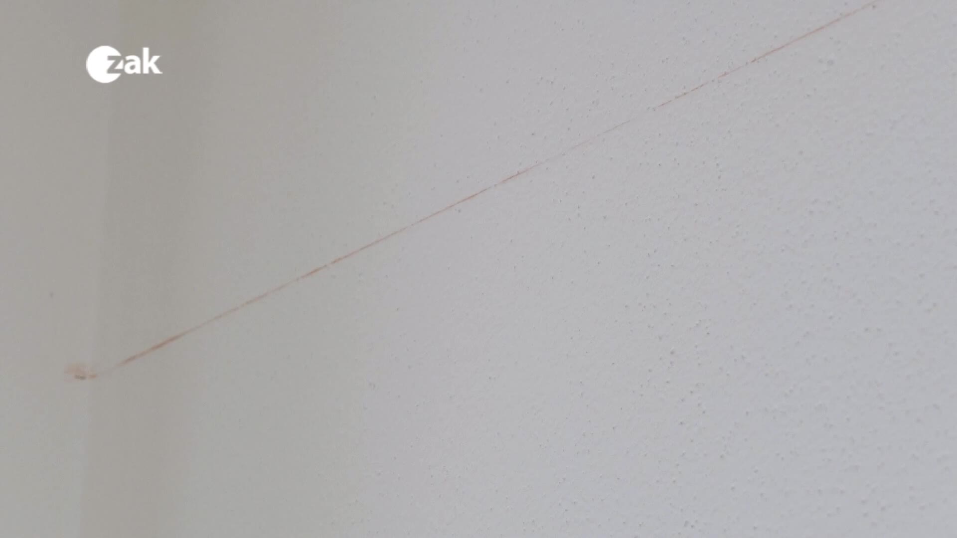 Komerční reportáže