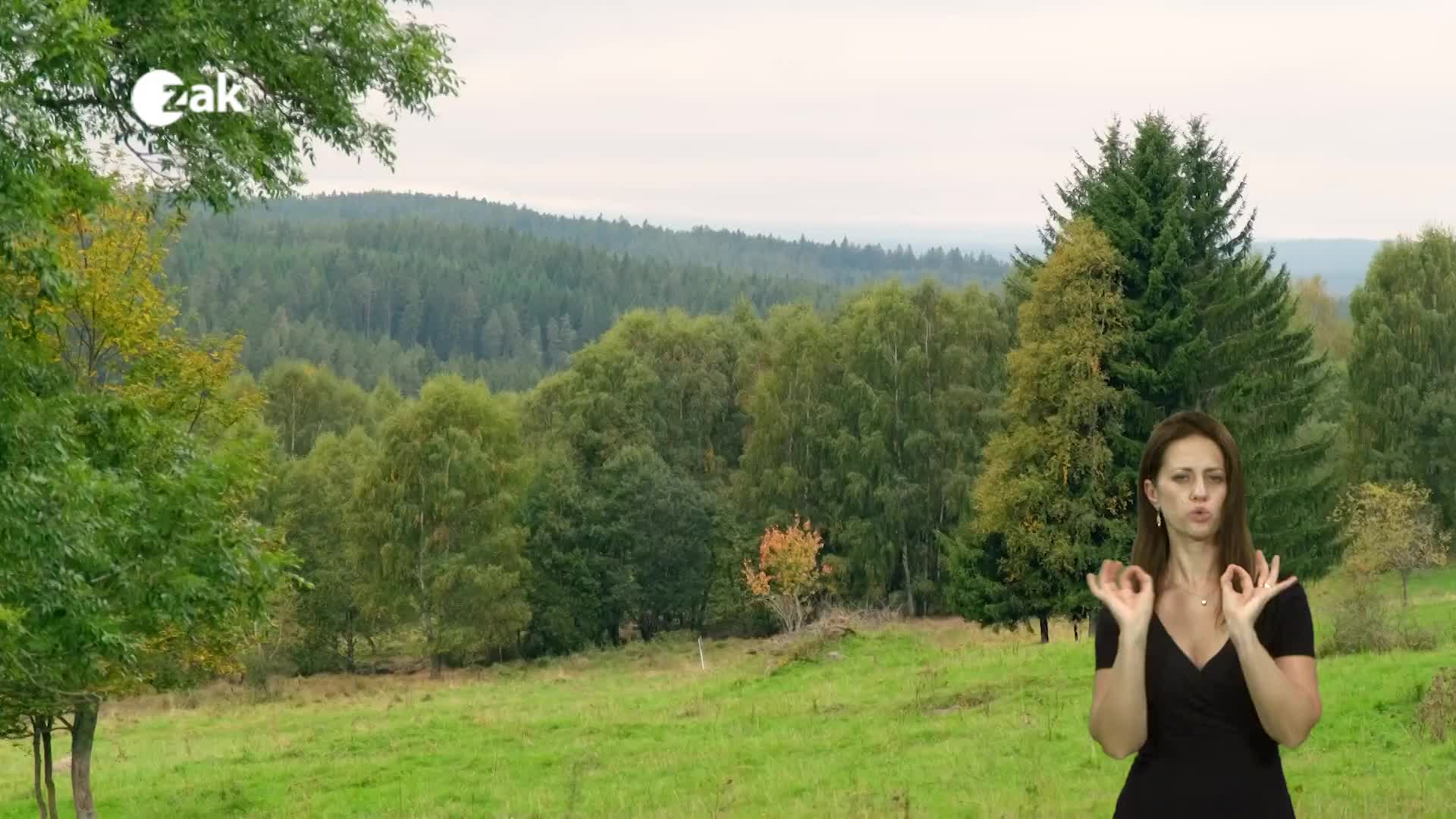 Pořady ve znakové řeči