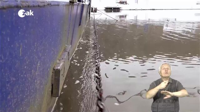 Pořady ve znakové řeči