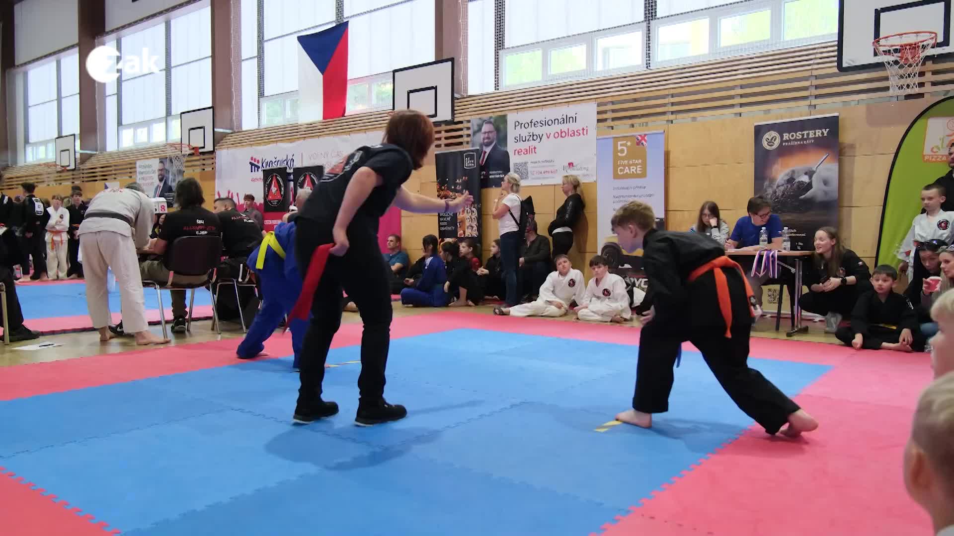 Plzeň v kostce