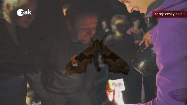 25.06.2026