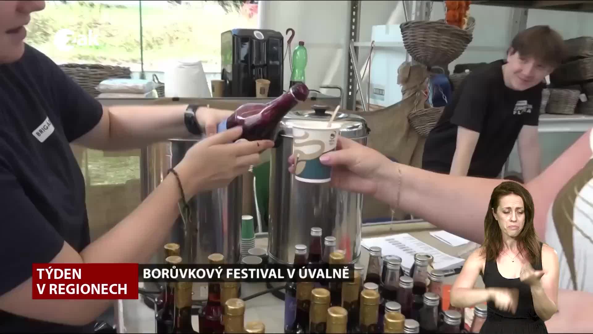 Týden v regionech