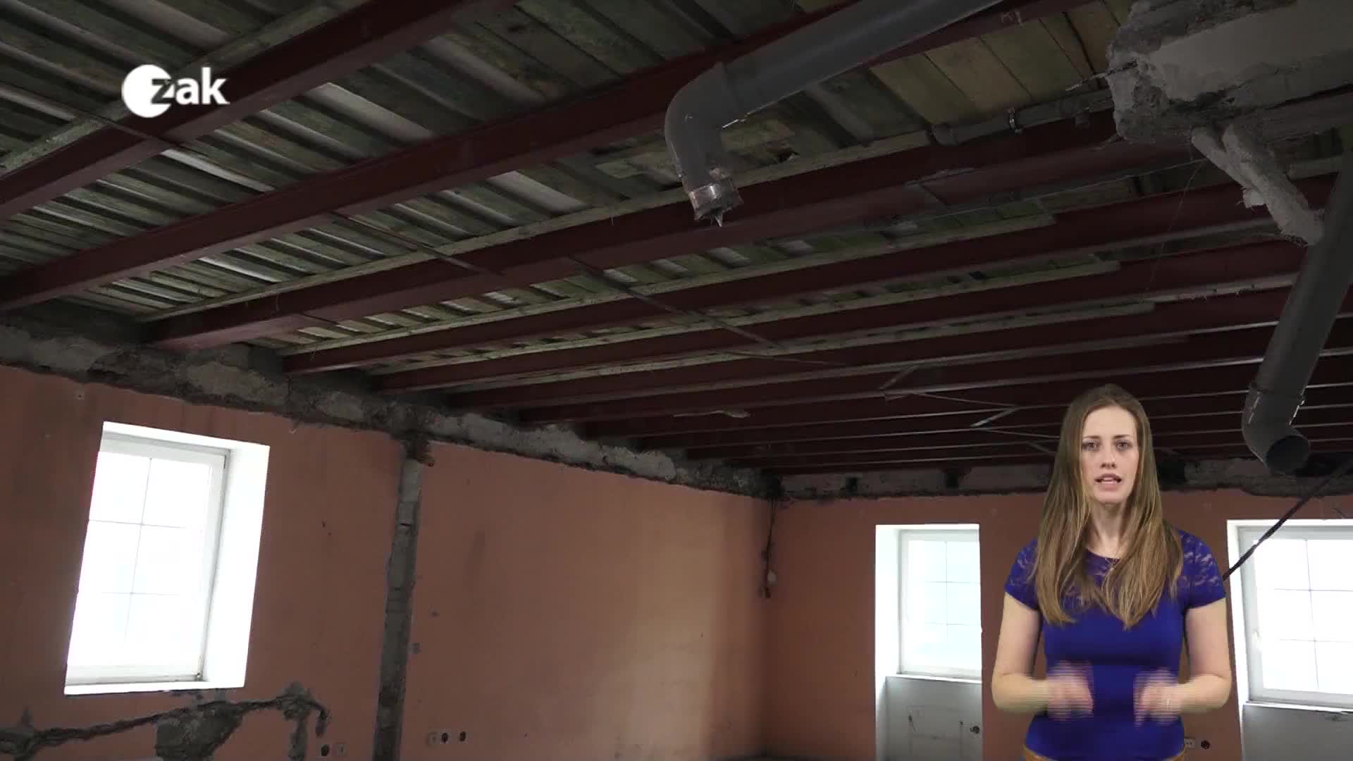 Pořady ve znakové řeči