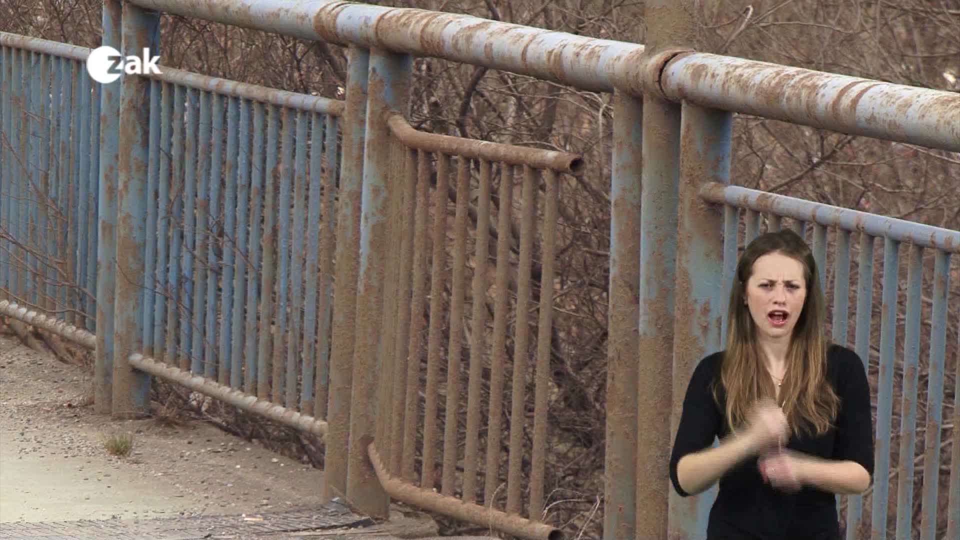 Pořady ve znakové řeči