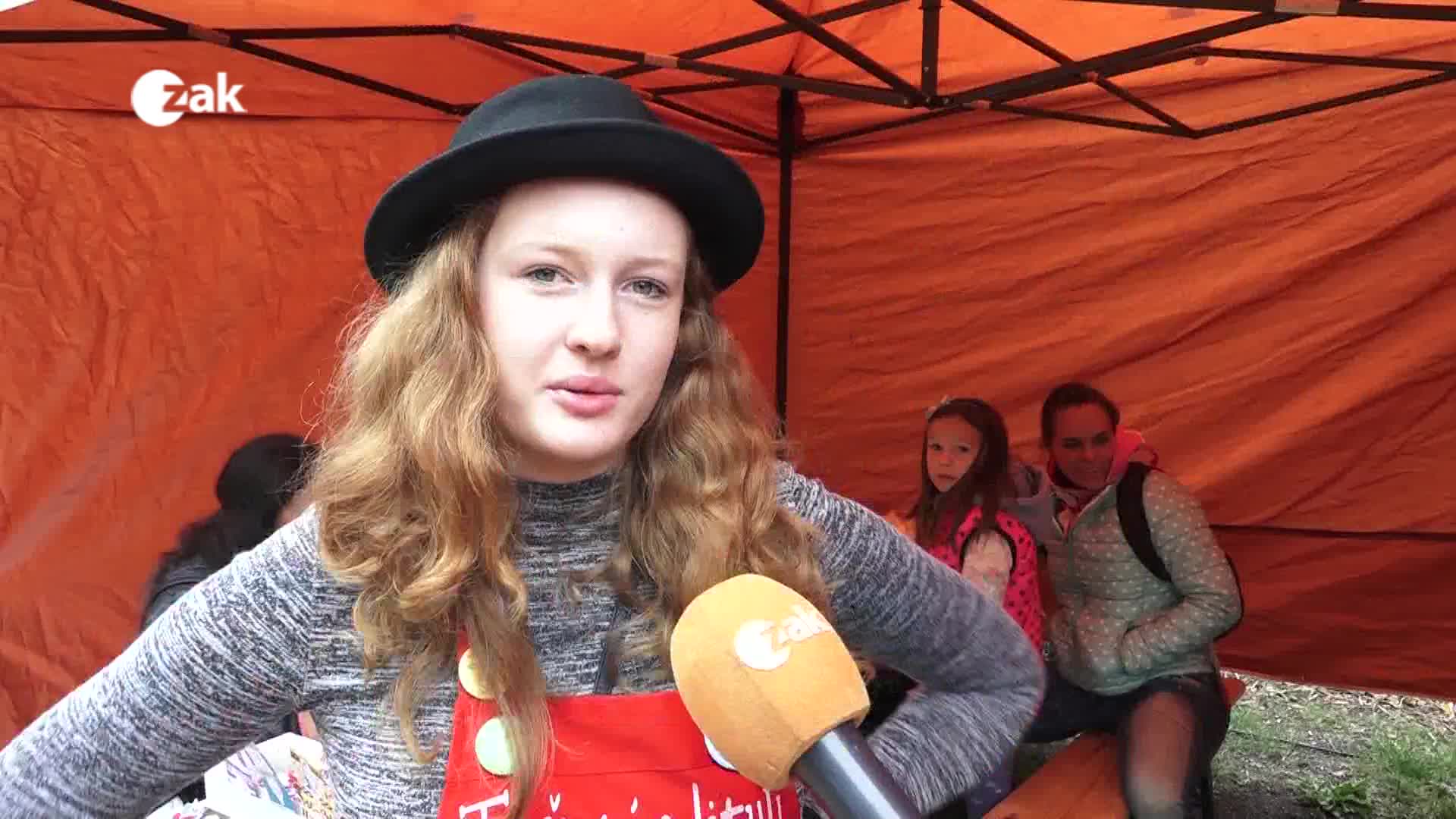 Okénko z měst a obcí