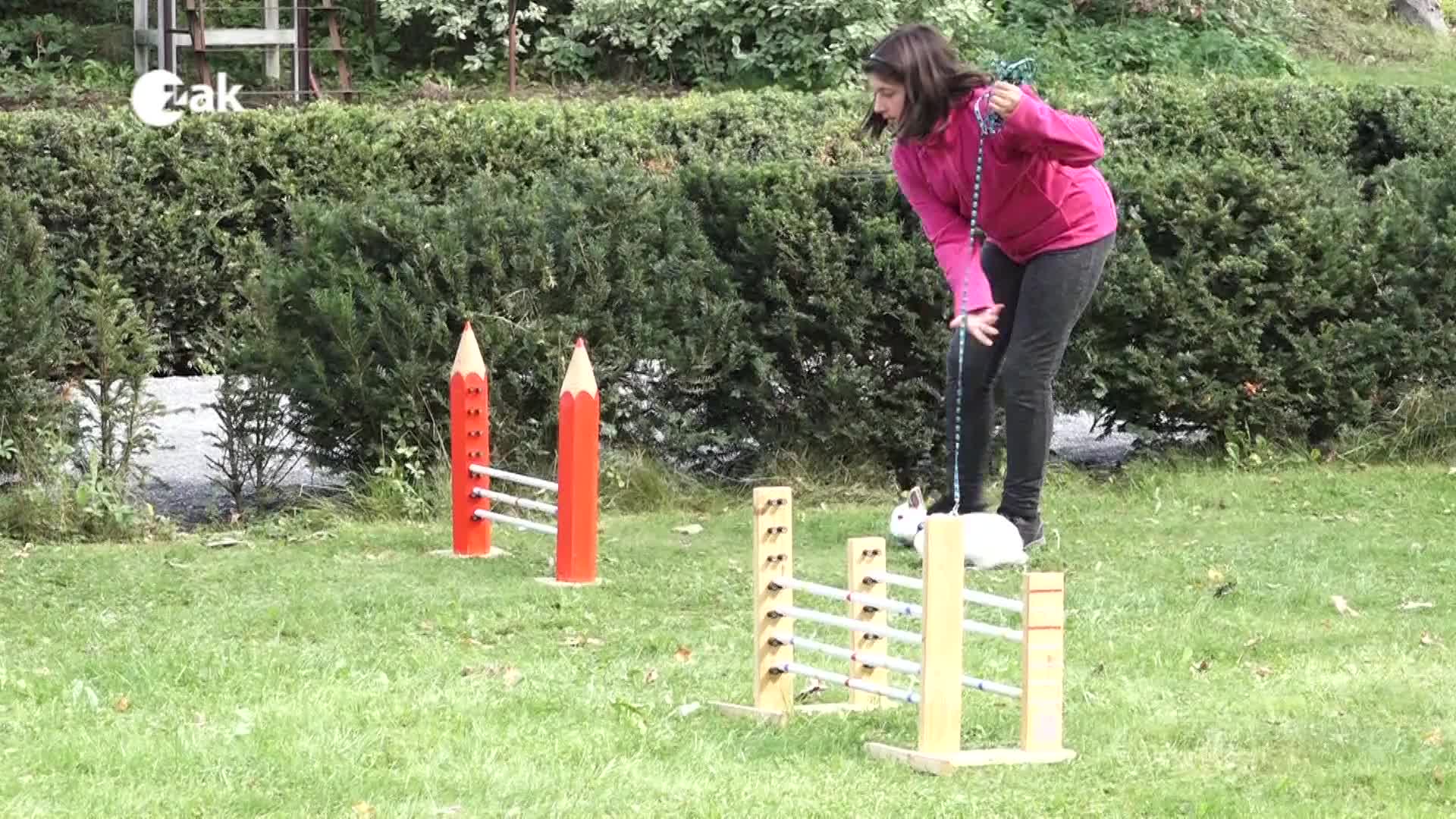 Okénko z měst a obcí