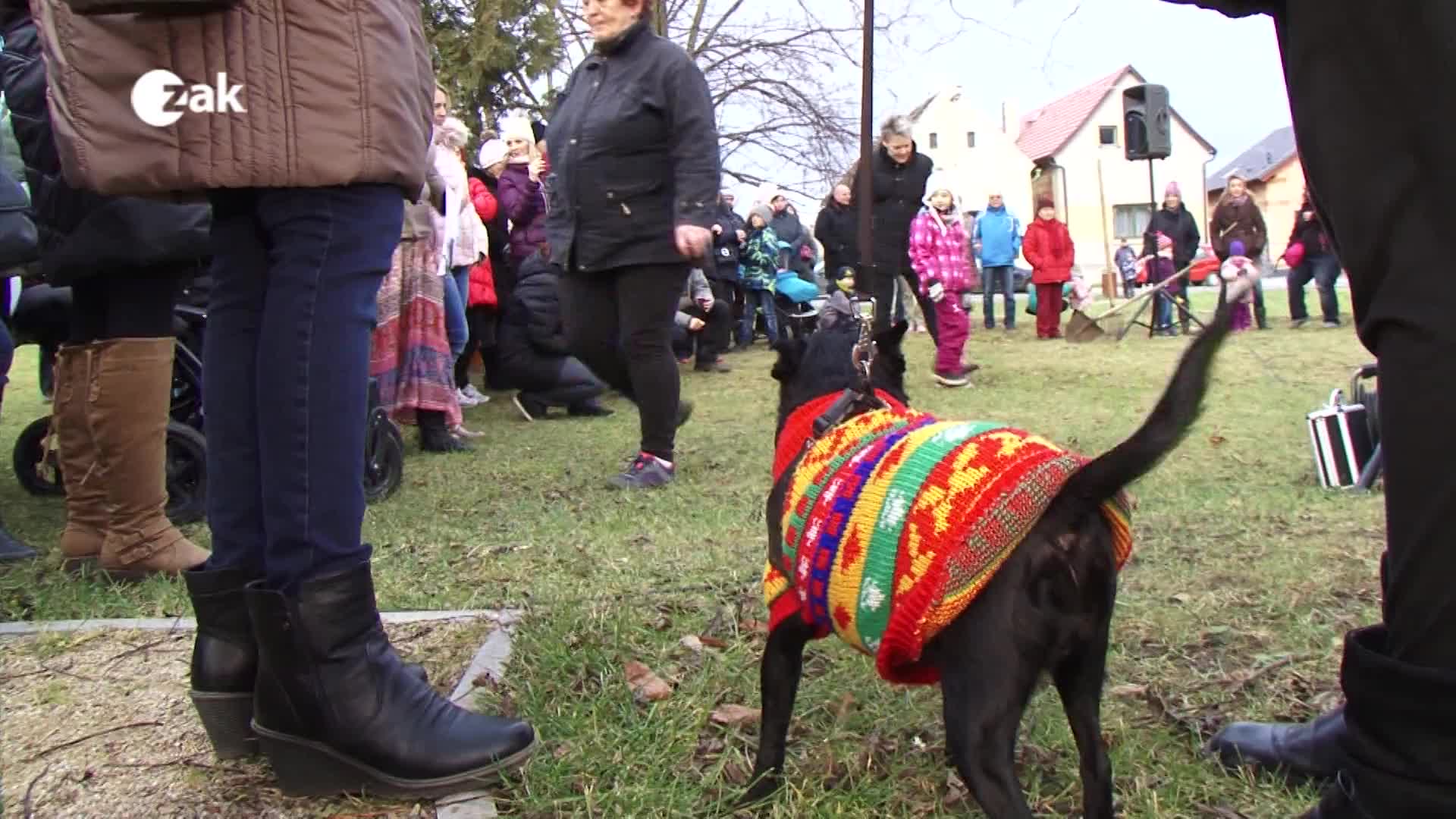 Okénko z měst a obcí