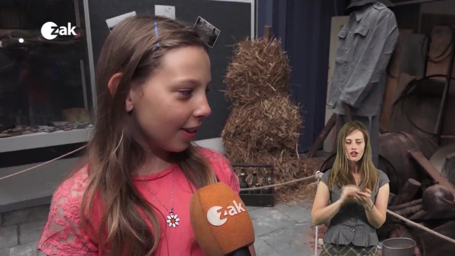 Pořady ve znakové řeči