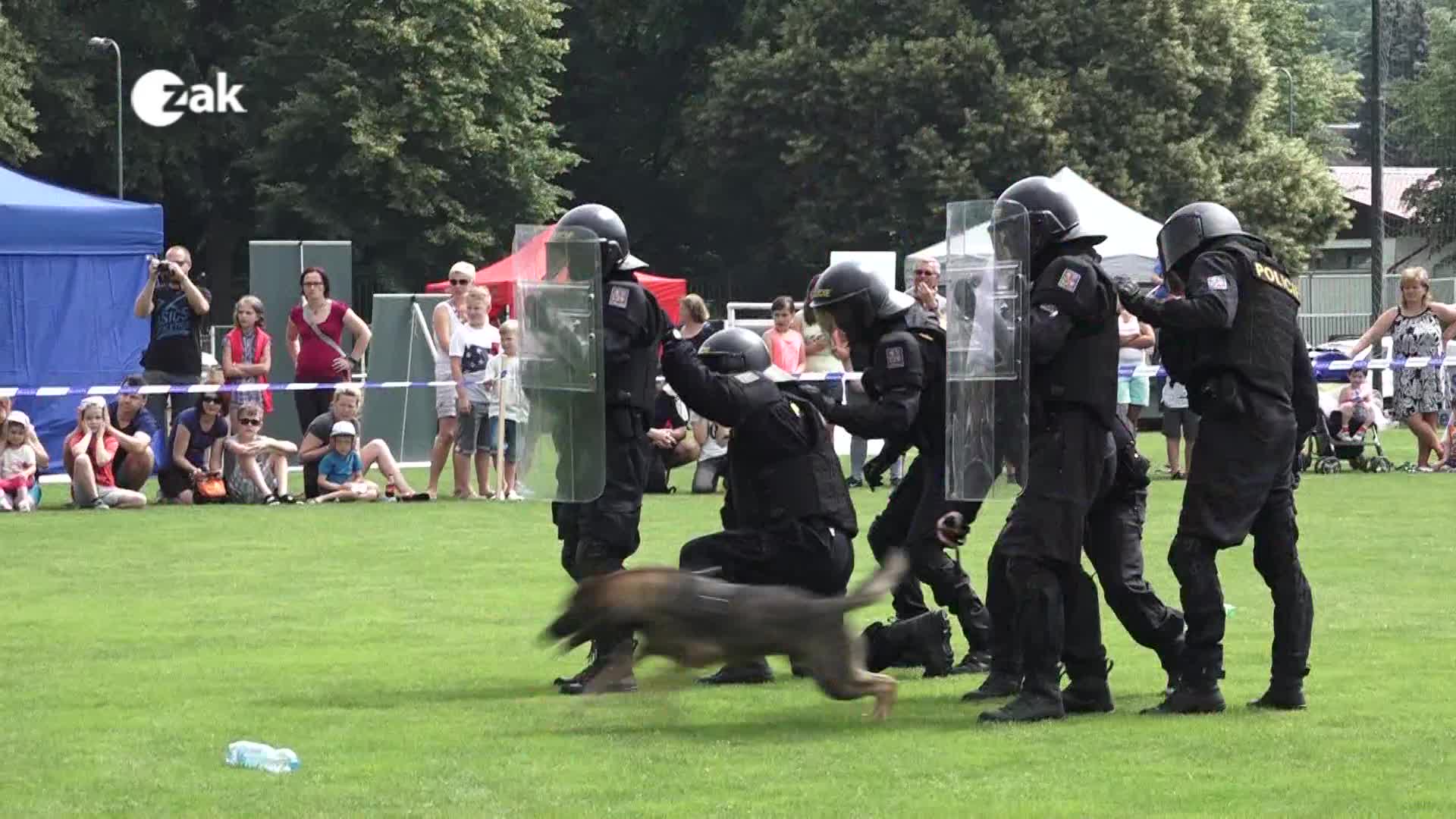 Okénko z měst a obcí