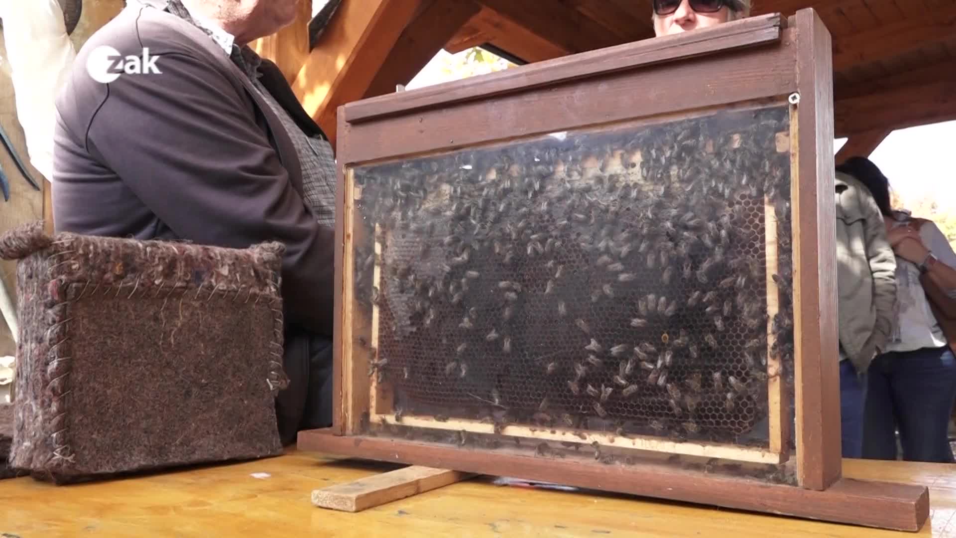 Okénko z měst a obcí