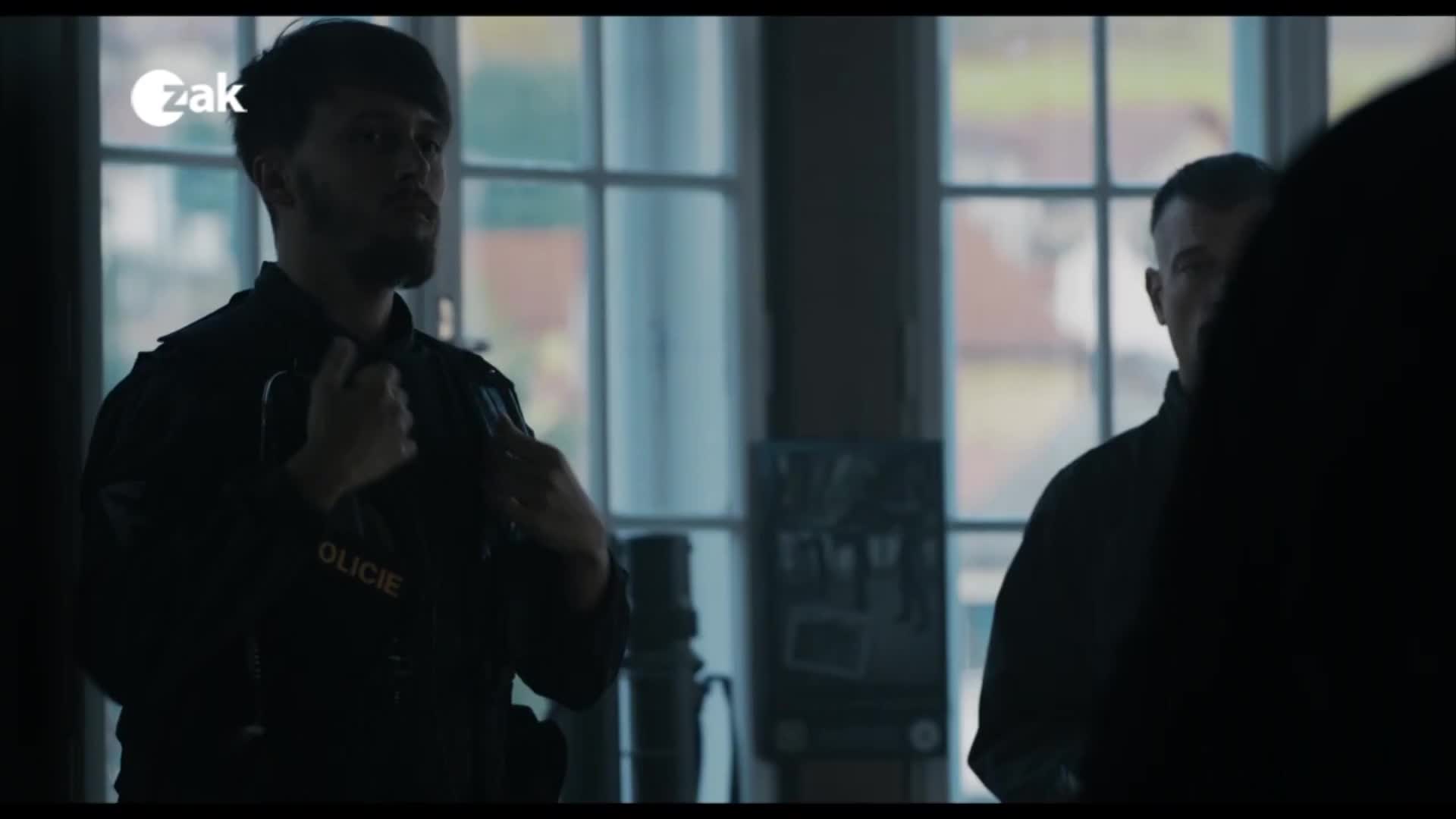 V plzeňských kinech