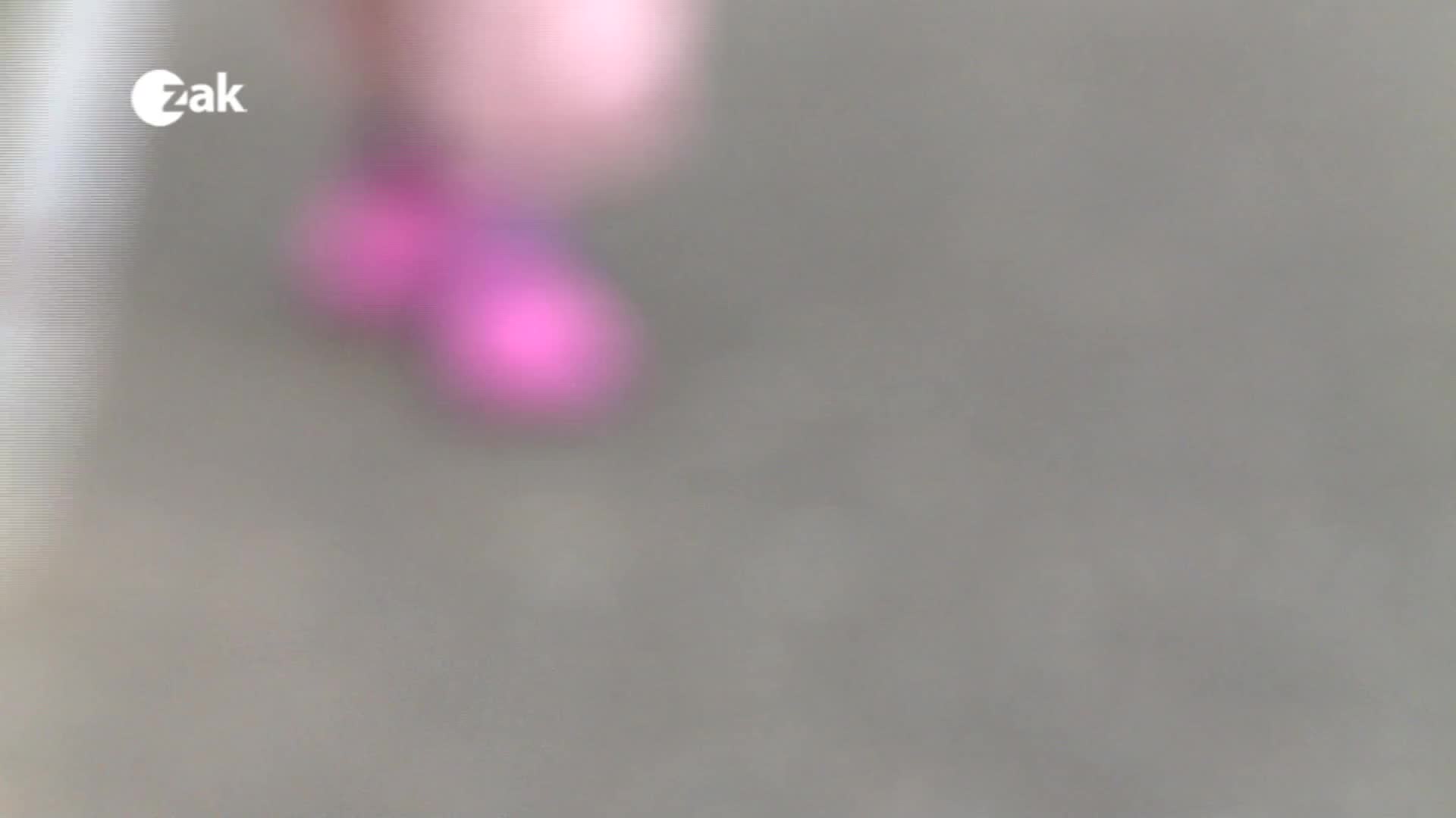 Škola základ života