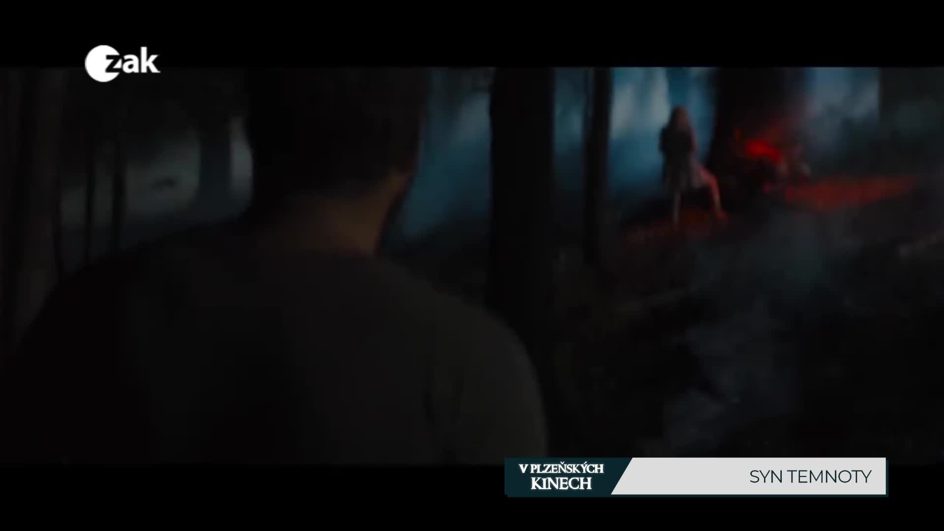 V plzeňských kinech