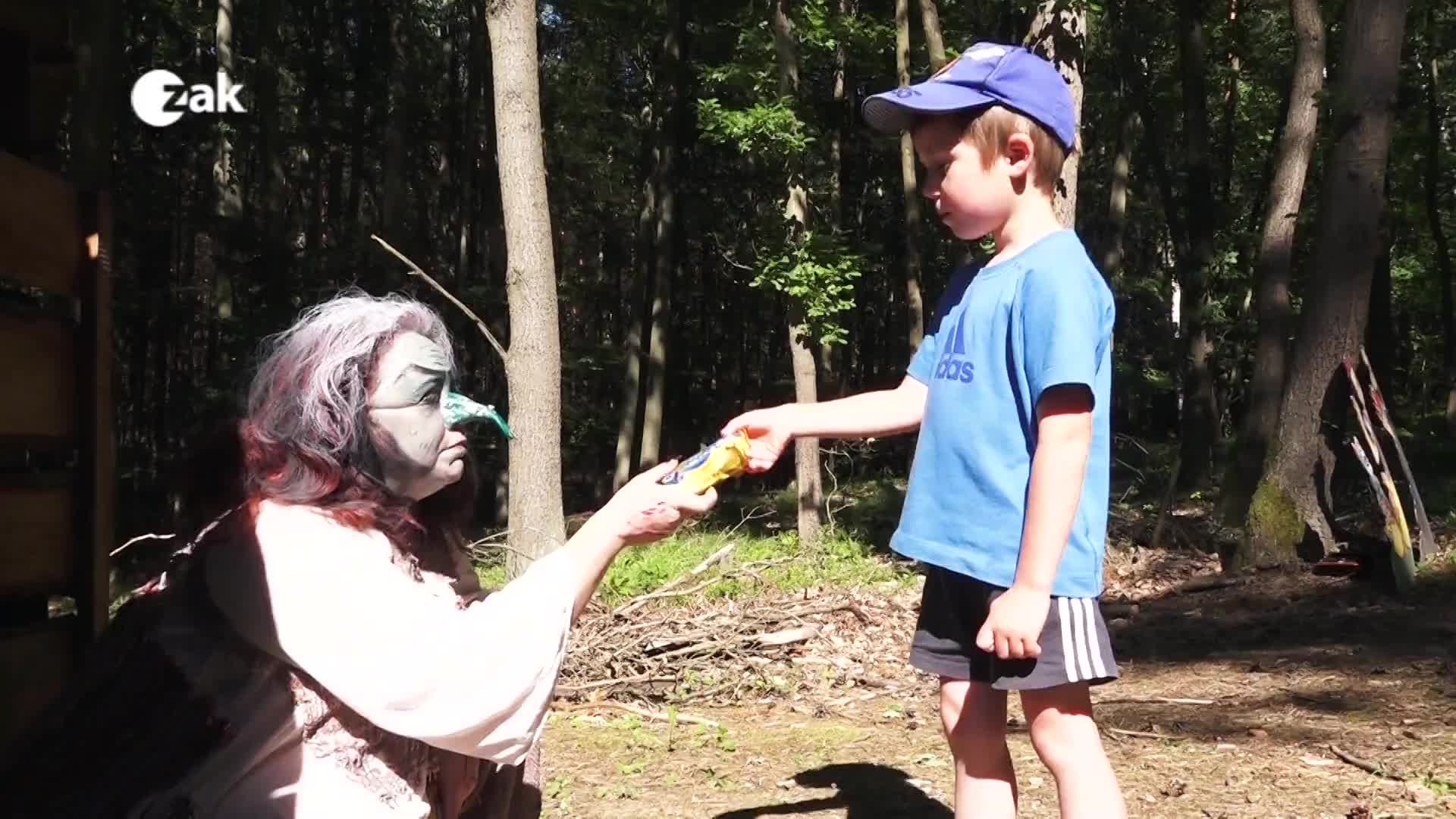 Okénko z měst a obcí