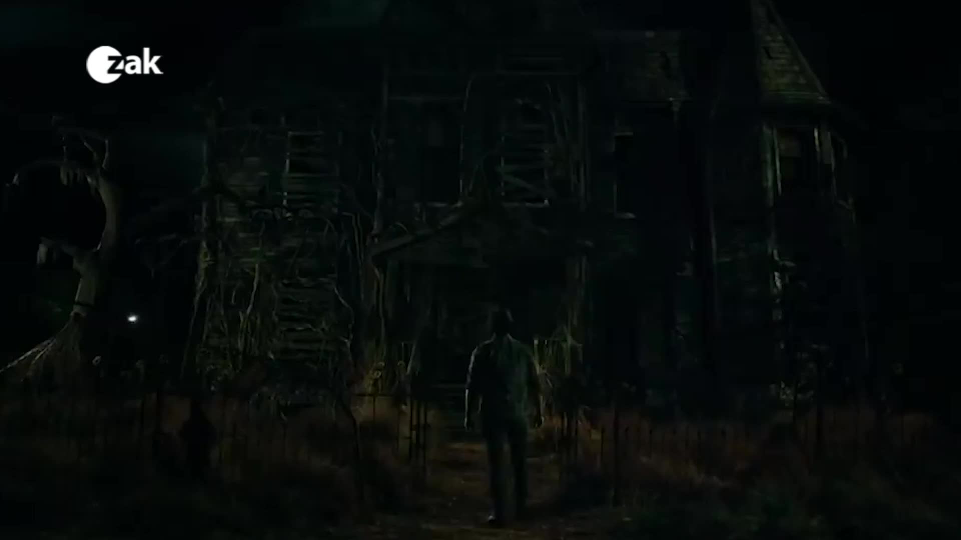 V plzeňských kinech