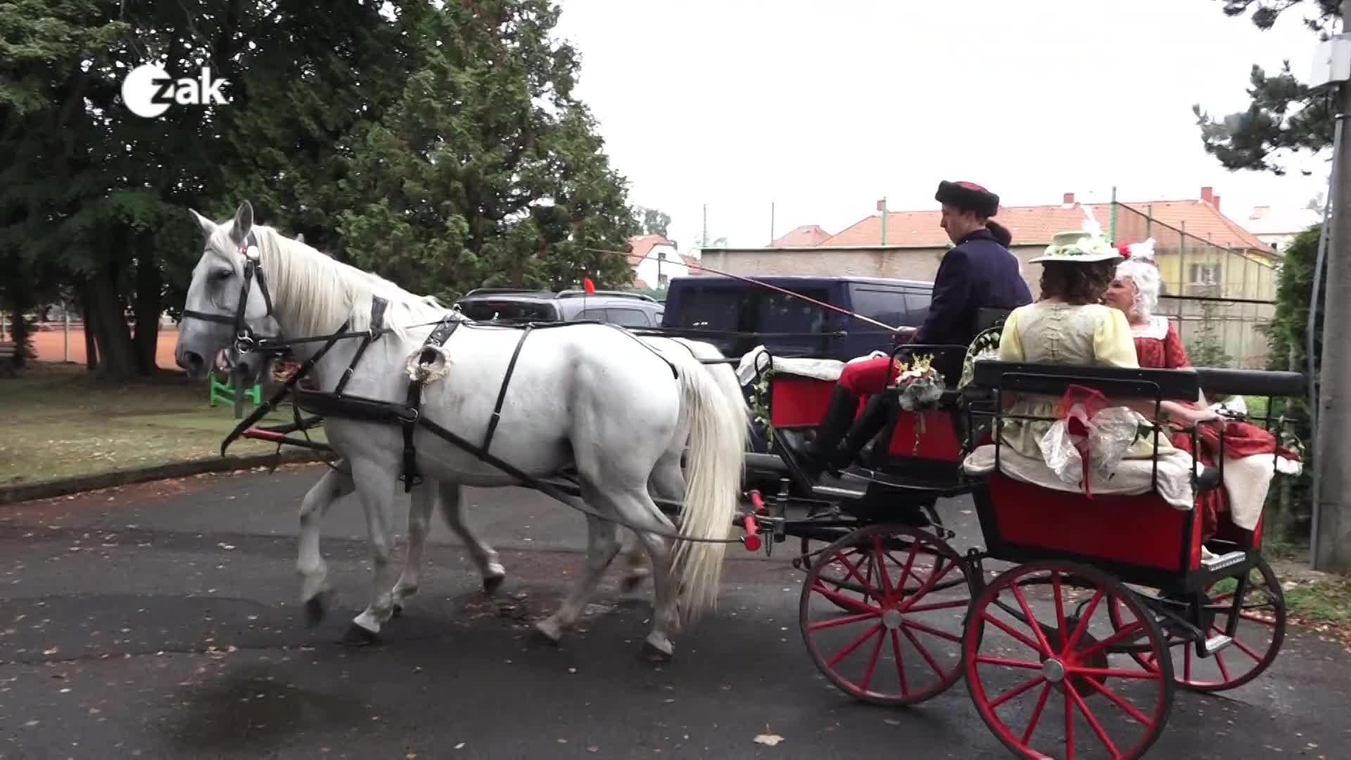 Okénko z měst a obcí