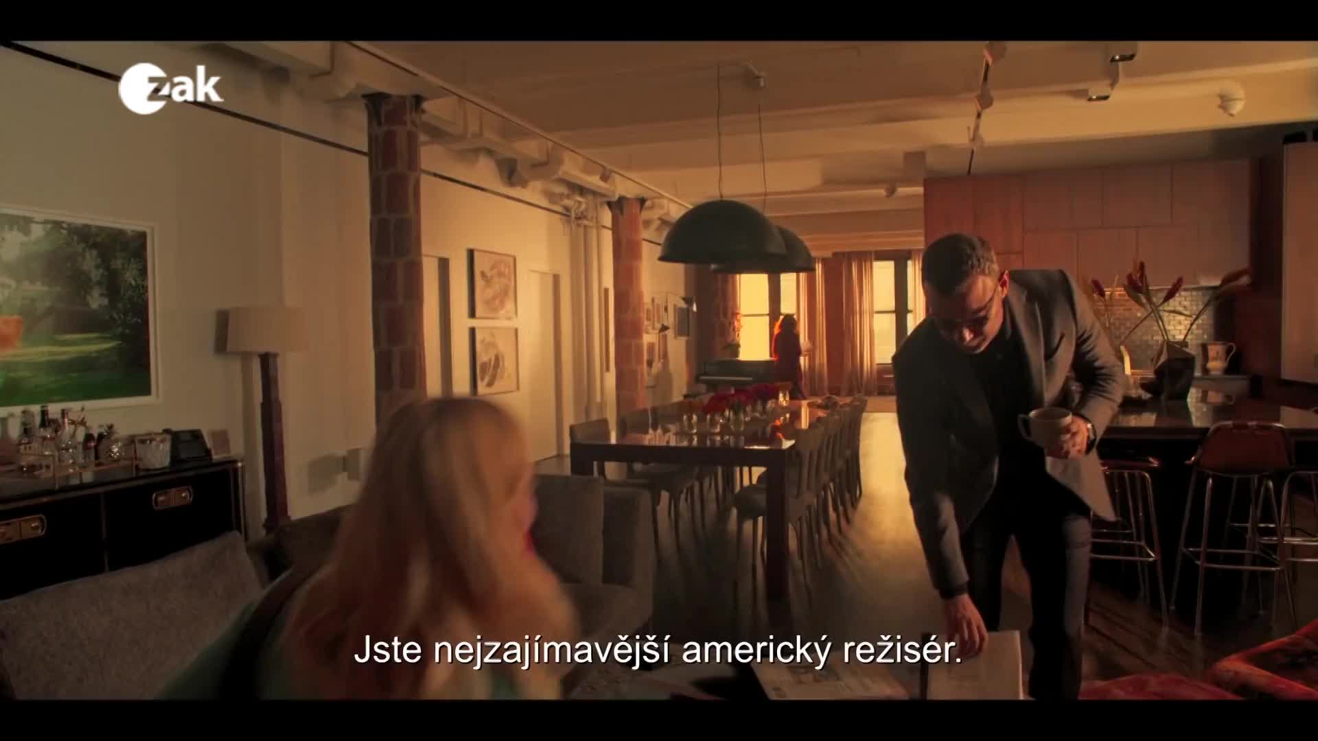 V plzeňských kinech