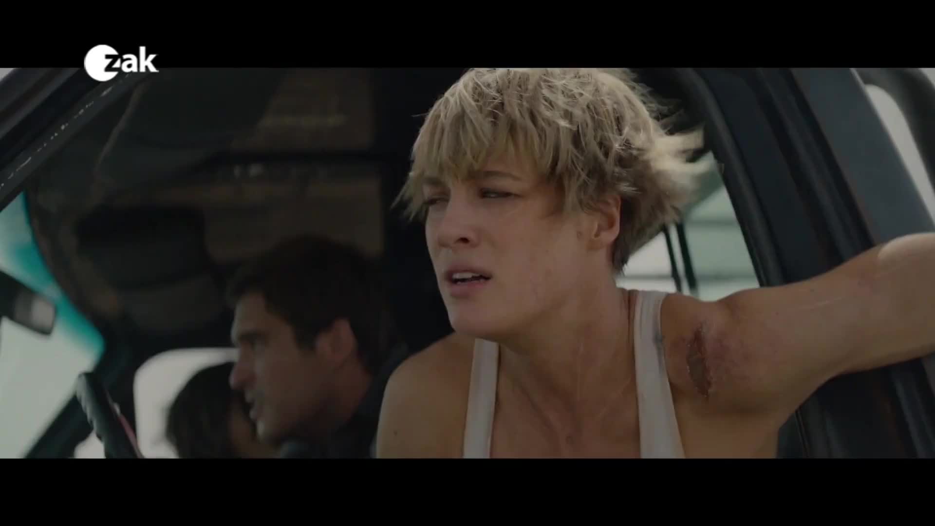 V plzeňských kinech