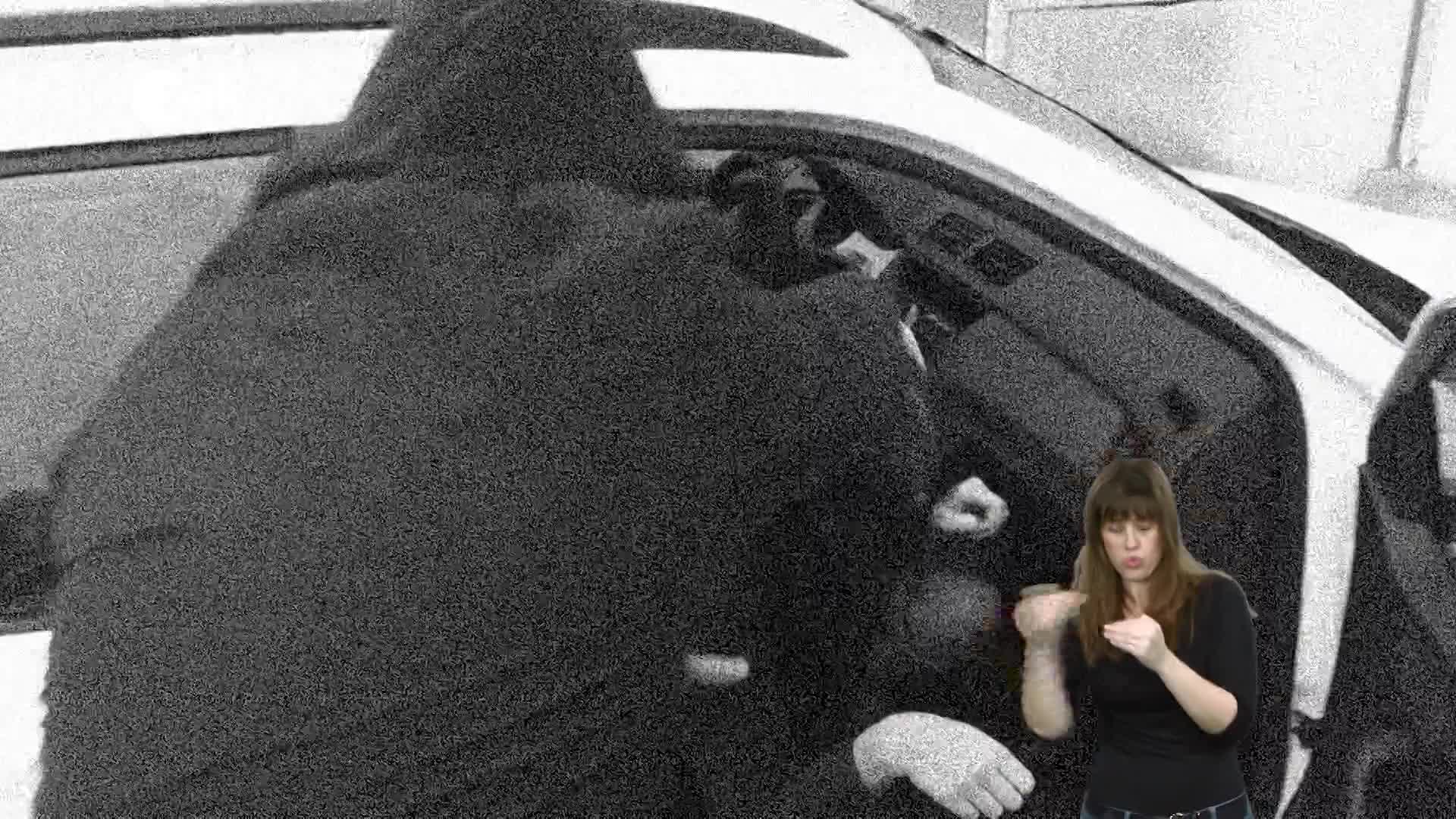 Pořady ve znakové řeči