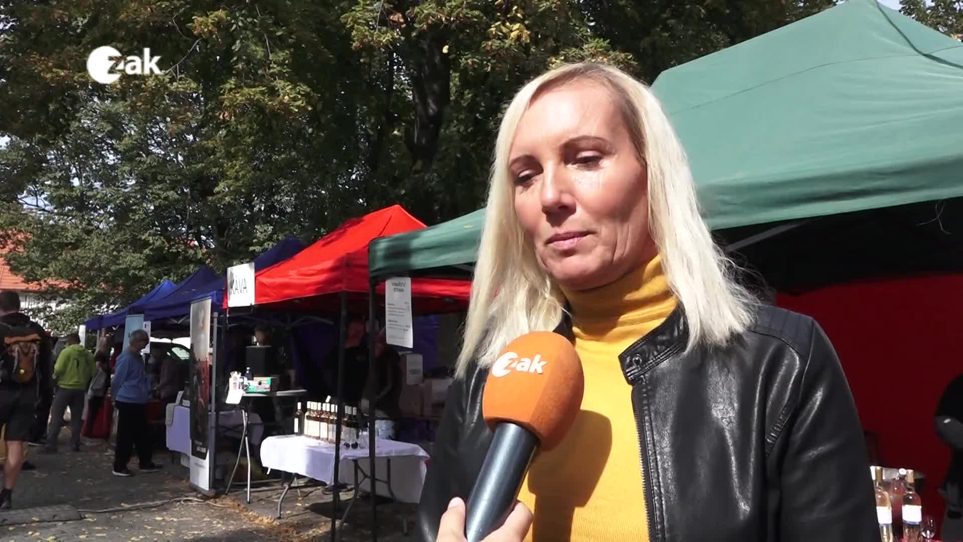 Okénko z měst a obcí