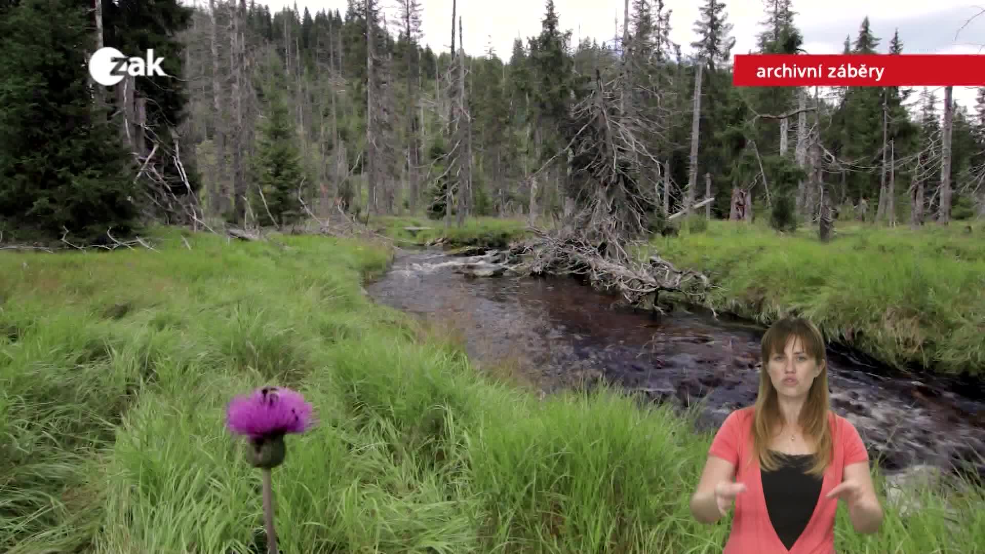 Pořady ve znakové řeči