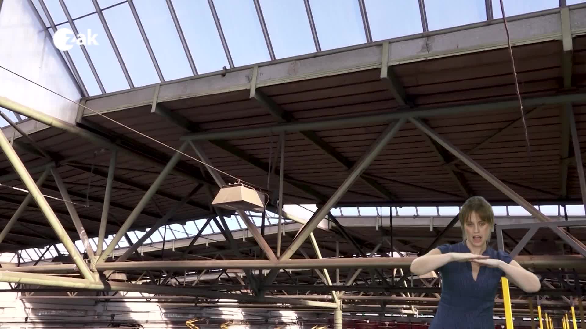 Pořady ve znakové řeči