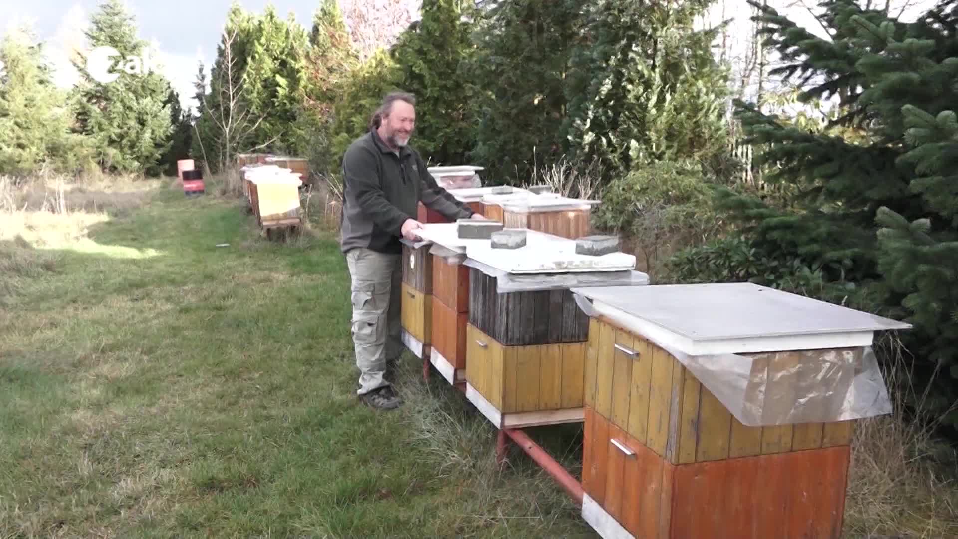 Pořady ve znakové řeči