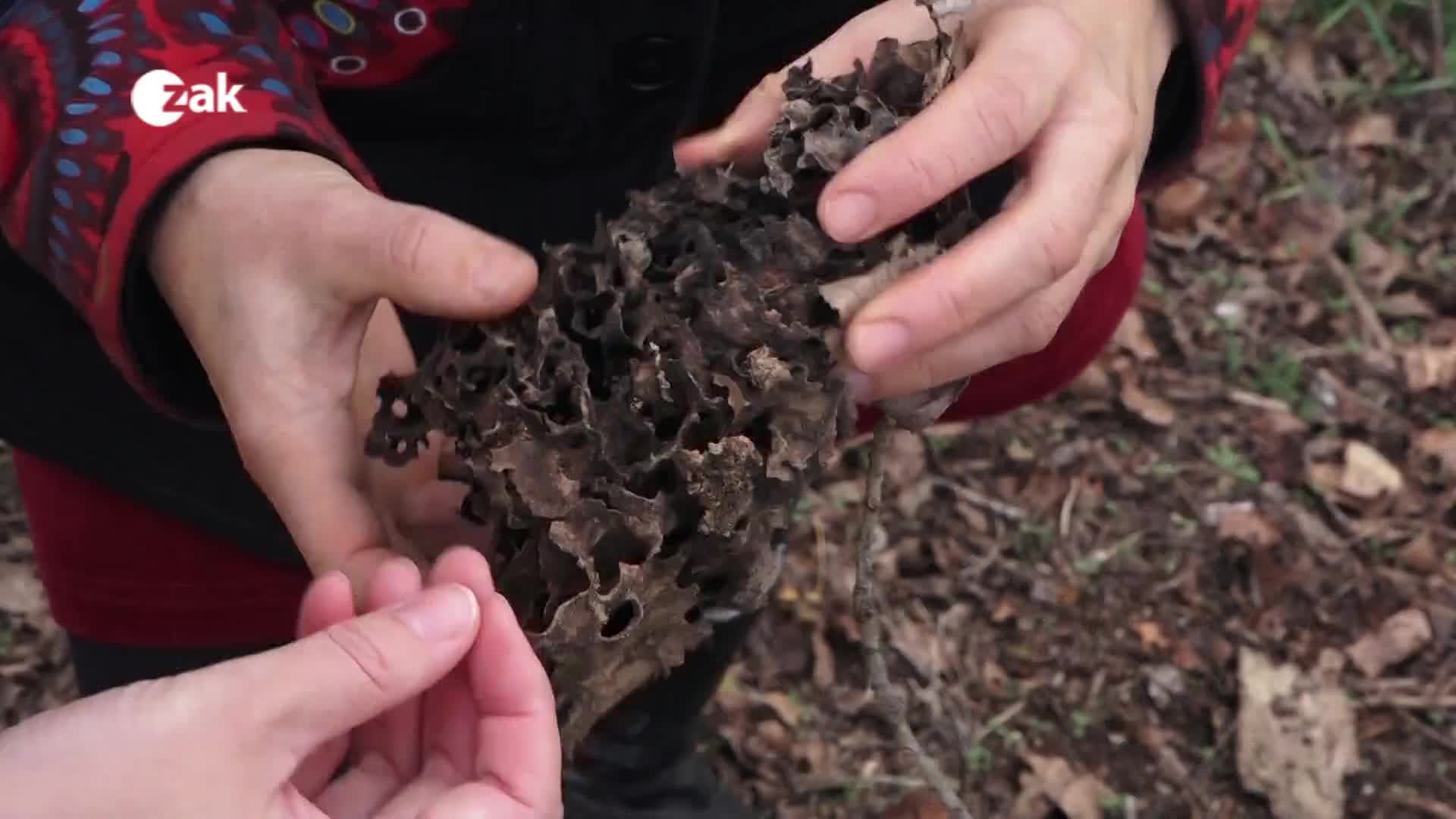 Okénko z měst a obcí