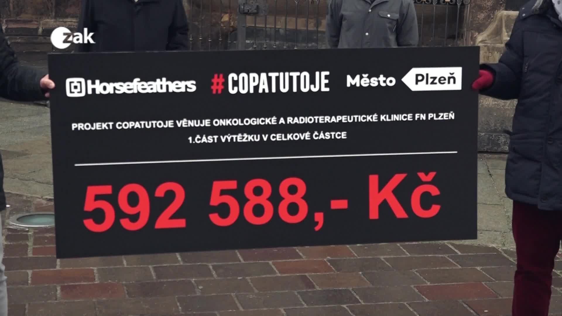 Plzeň v kostce
