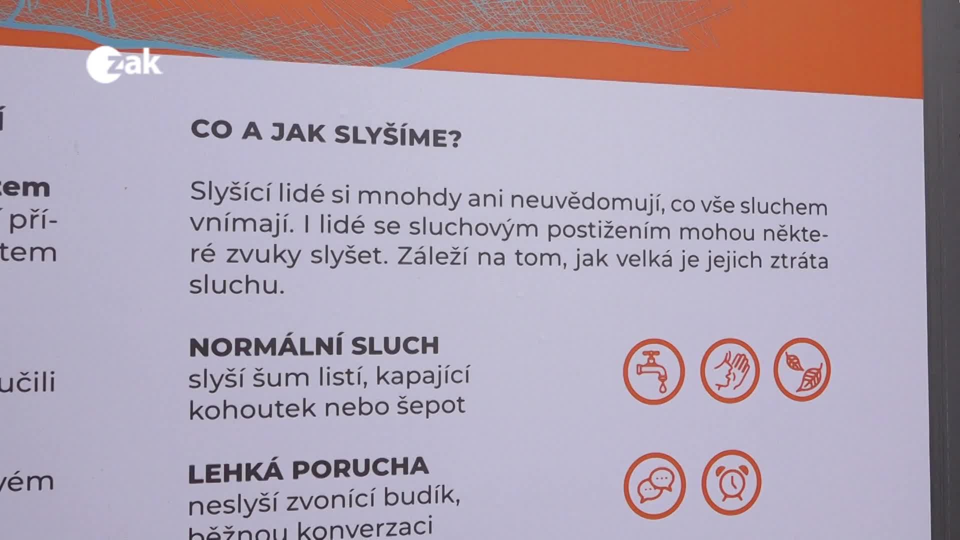 Plzeň v kostce