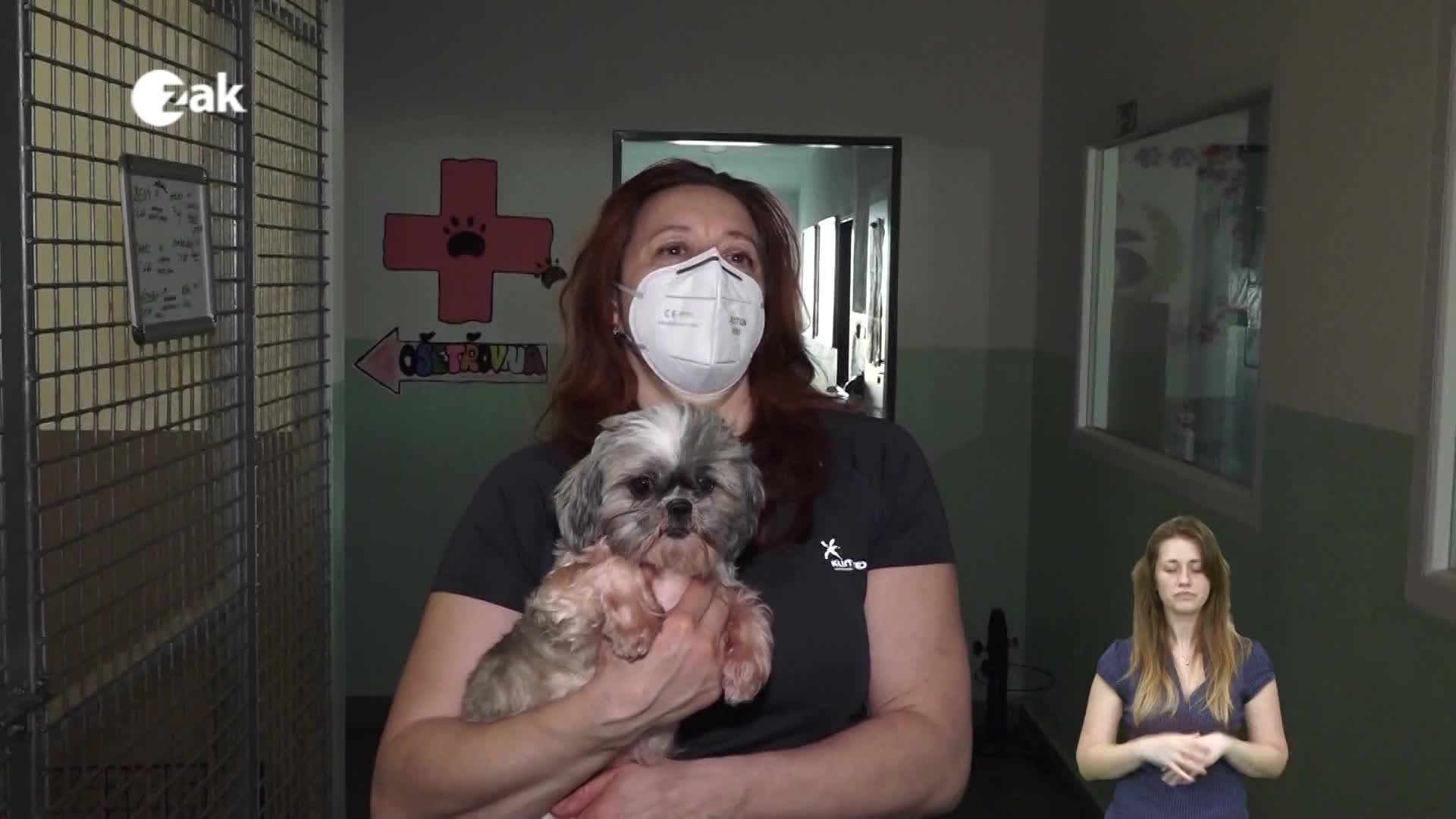 Pořady ve znakové řeči