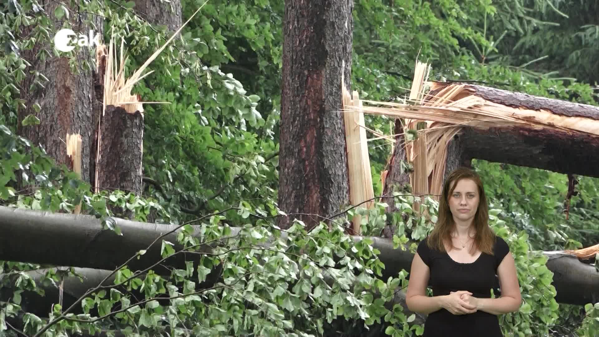 Pořady ve znakové řeči