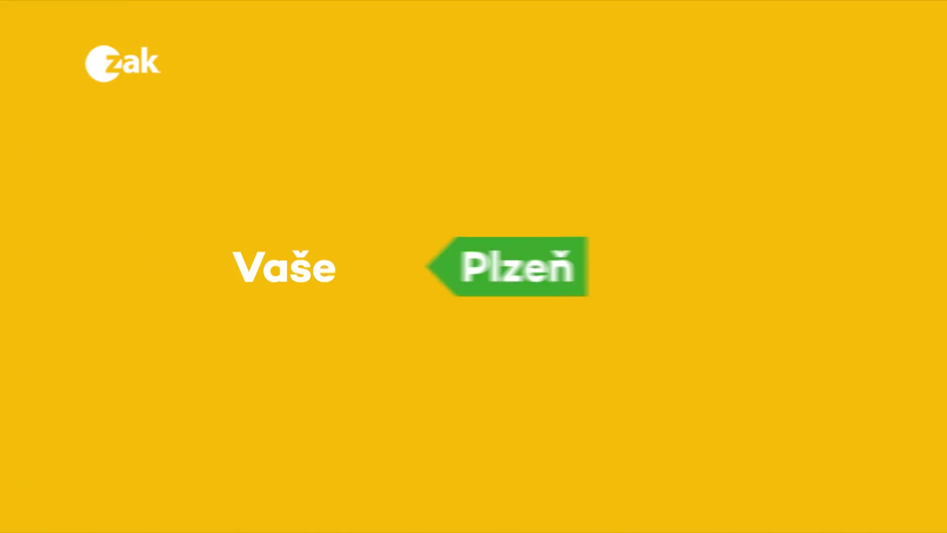Plzeň v kostce