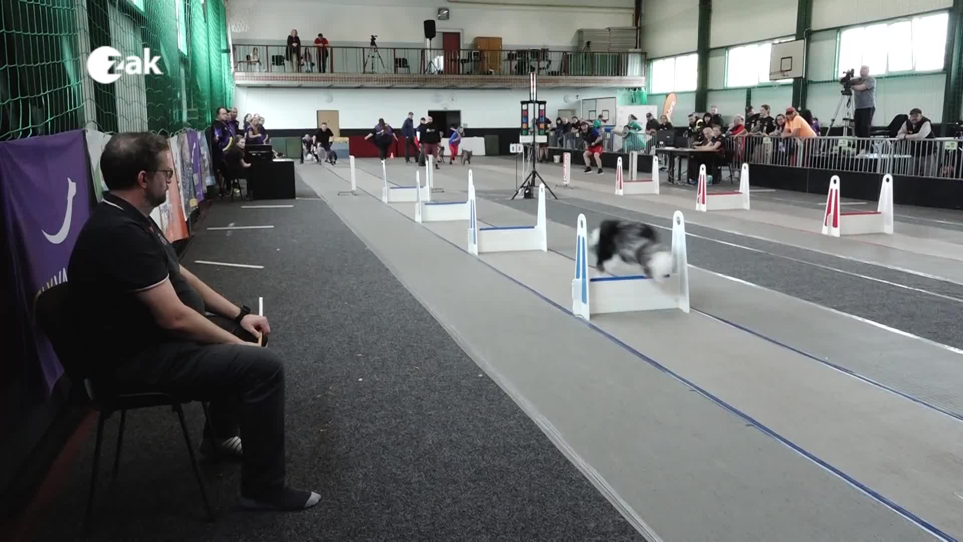 Zpravodajský expres