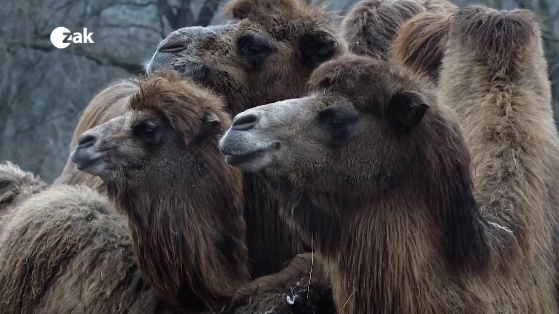 Dobré zprávy z regionů