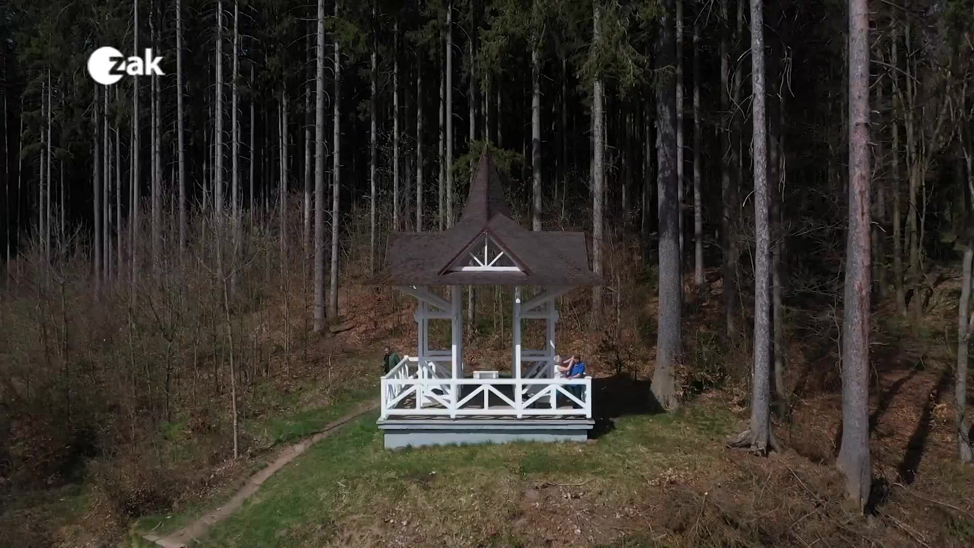 Zpravodajský expres